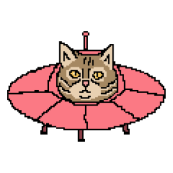 Cosmos Cat 32