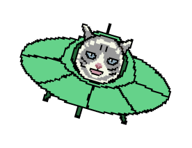 Cosmos Cat 41